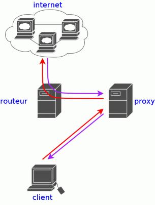 Usando Web Proxy